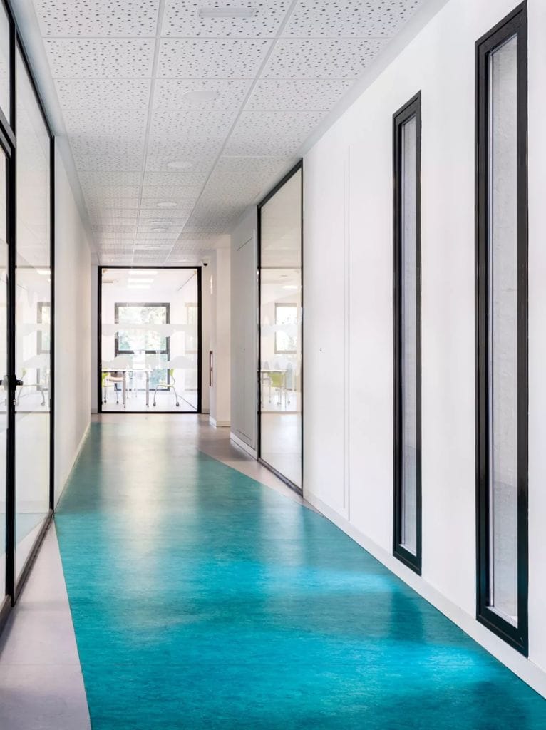 colegio-alma-un-espacio-para-una-educacion-integral-colegio-alma-lorca